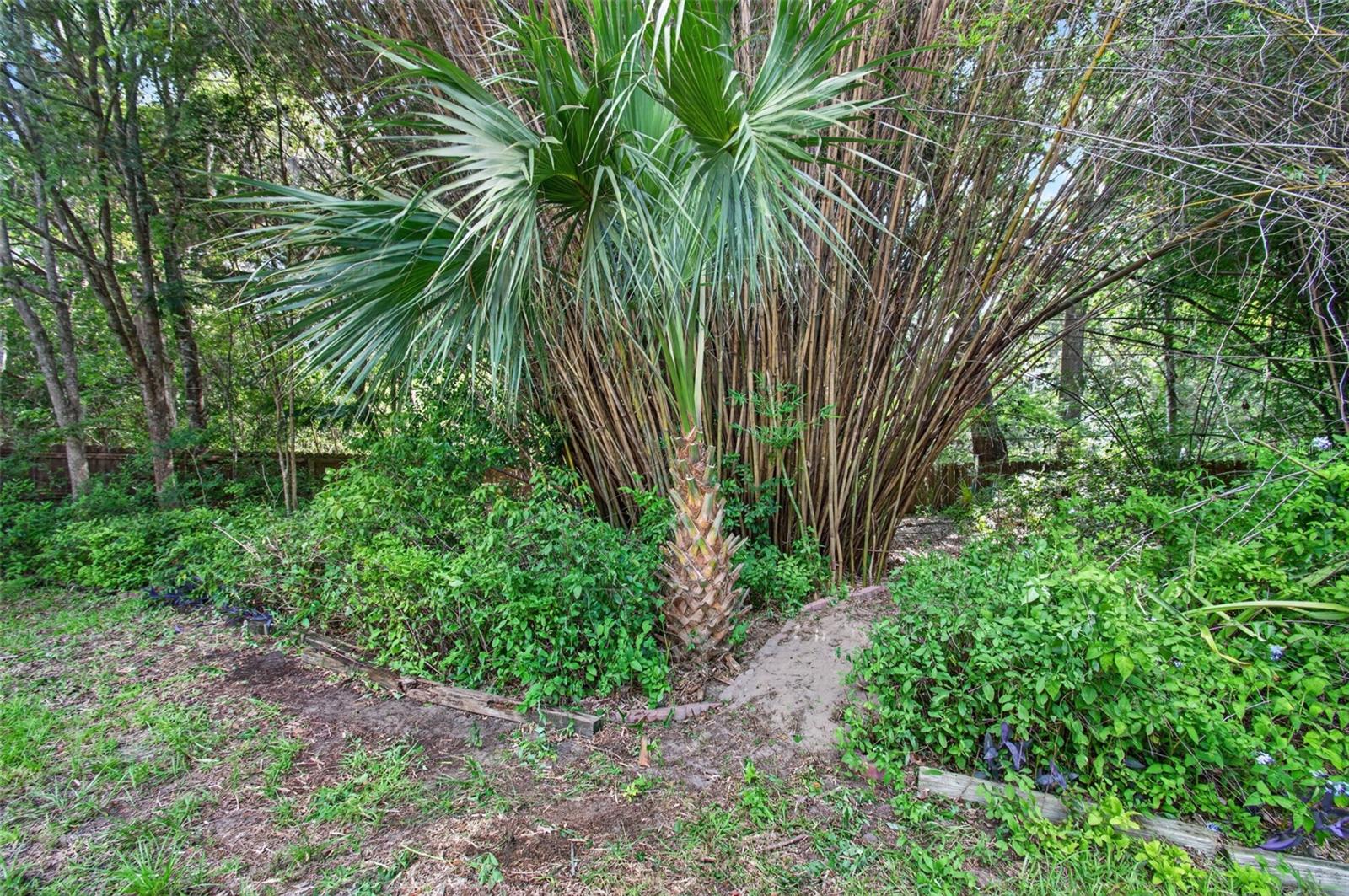 2840 Nw 27th Ter Property Photo 43