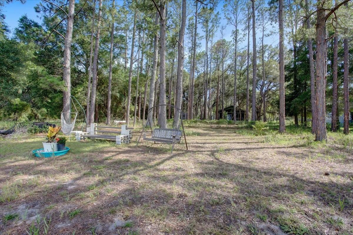 235 Ashley Lake Dr Property Photo 29
