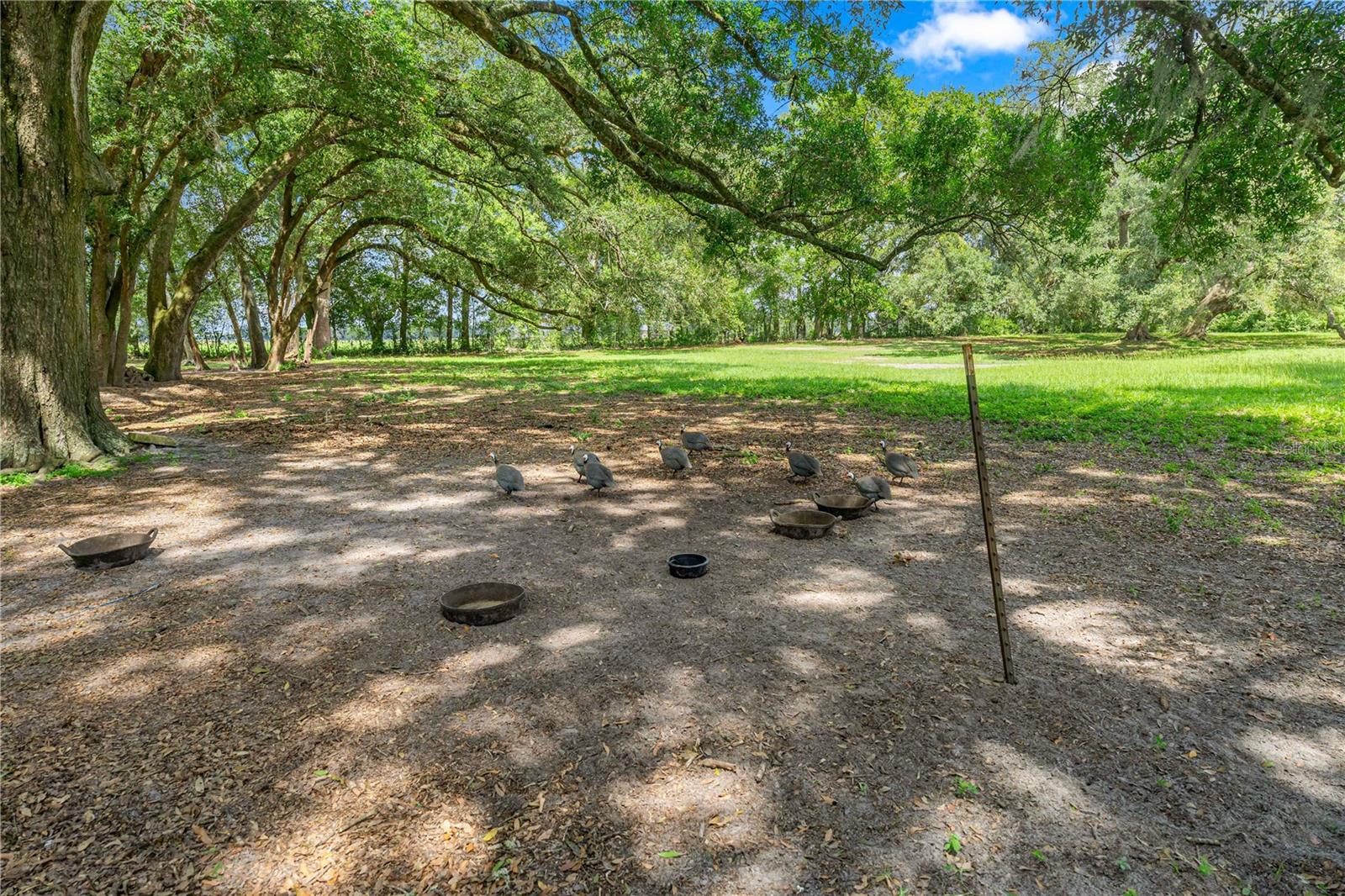 1890 Nw 167th Pl Property Photo 22