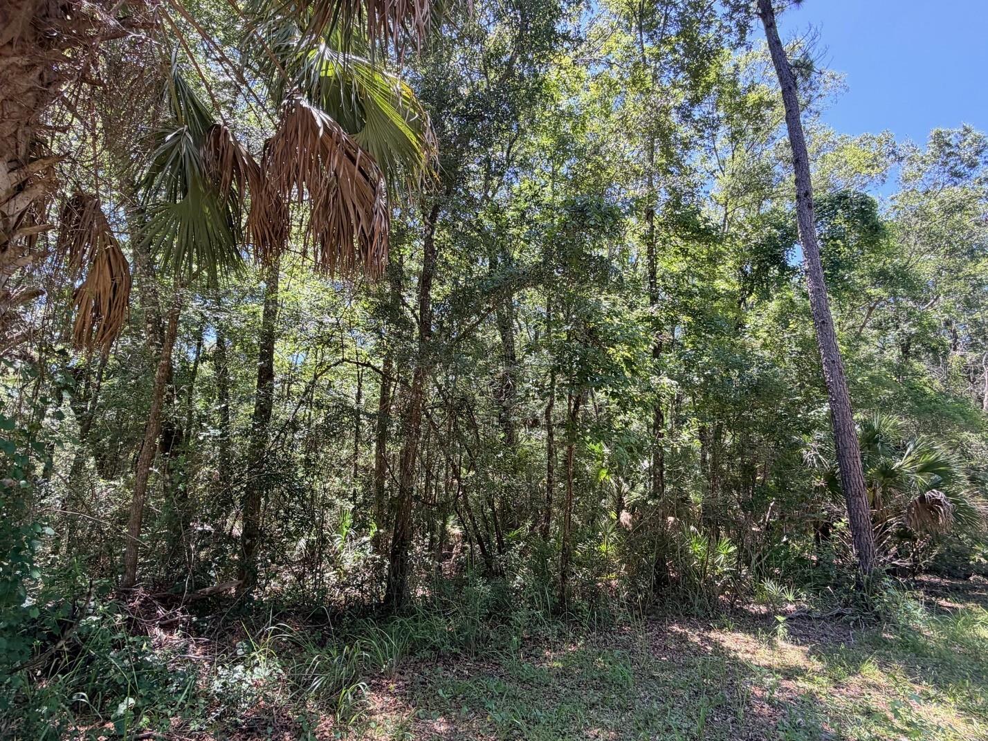 0 Se Hwy 19 Property Photo 1