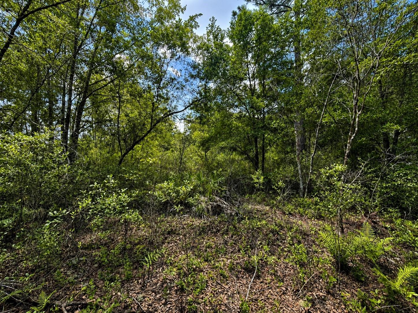 Tbd Se 136th St Property Photo 3