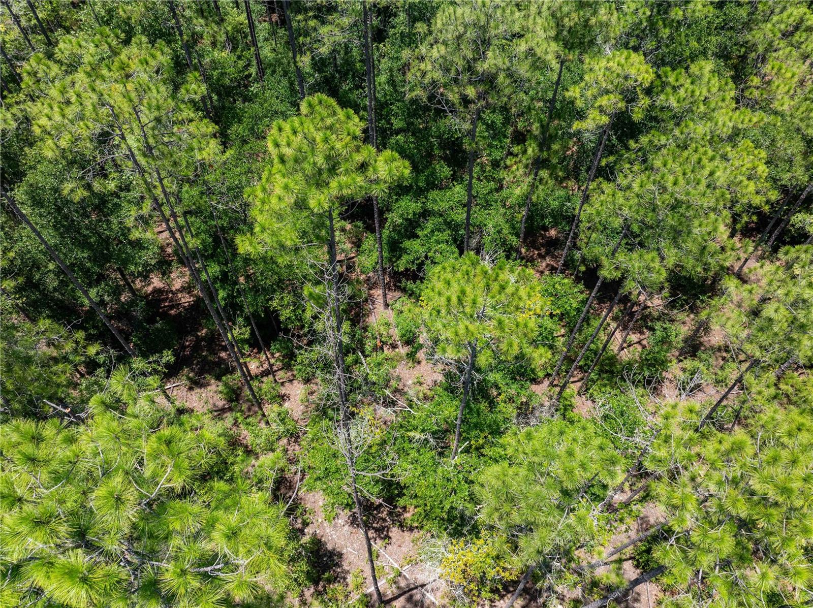 Tbd2 71st Ln Property Photo 36