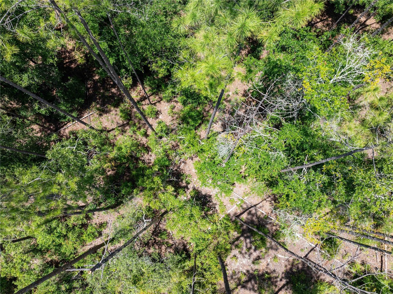 Tbd2 71st Ln Property Photo 37