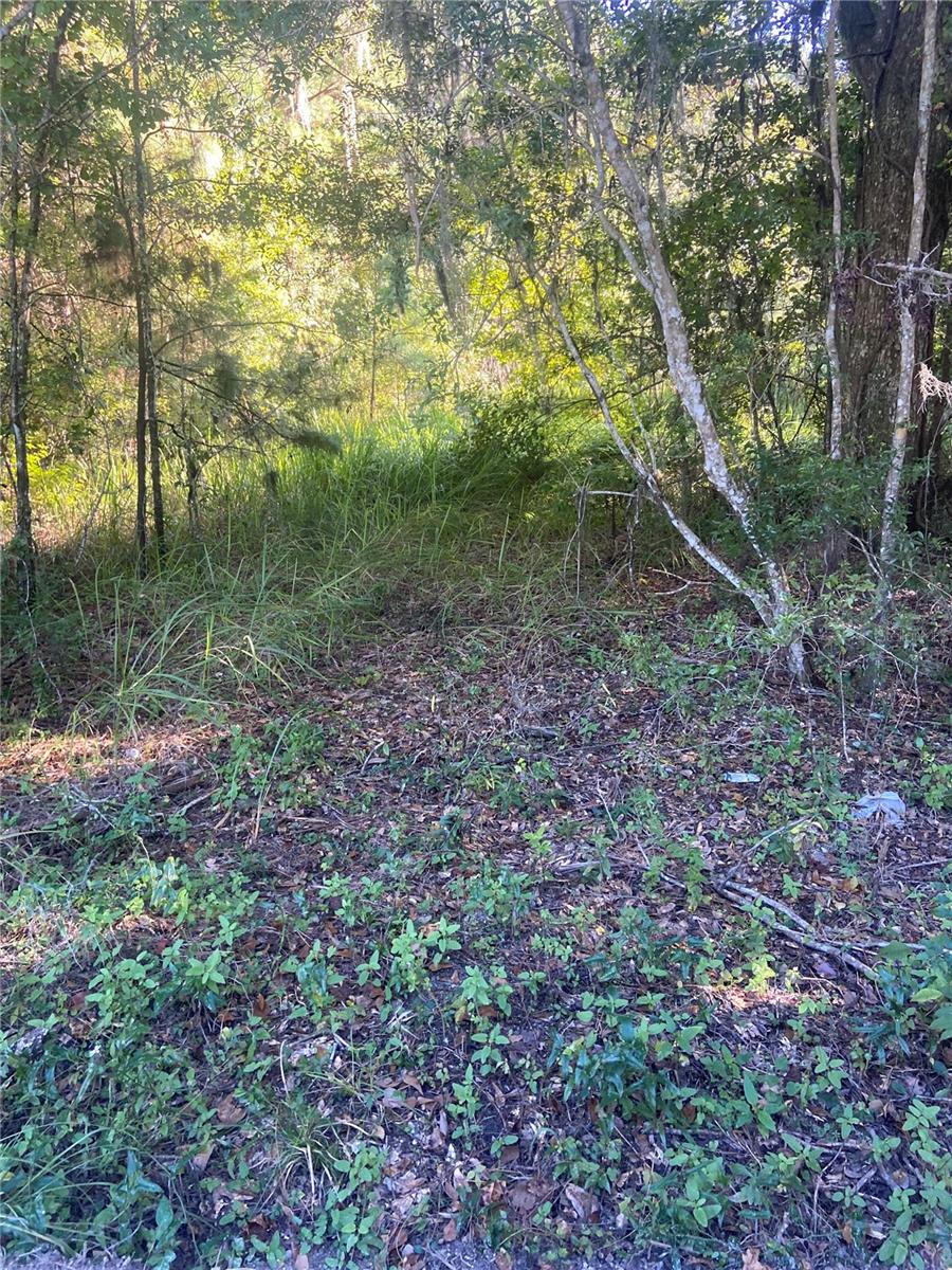 14220 Nw 182nd Ln Property Photo 7