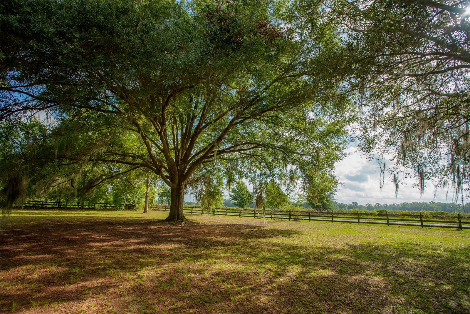 25518 Nw County Road 241 Property Photo 9