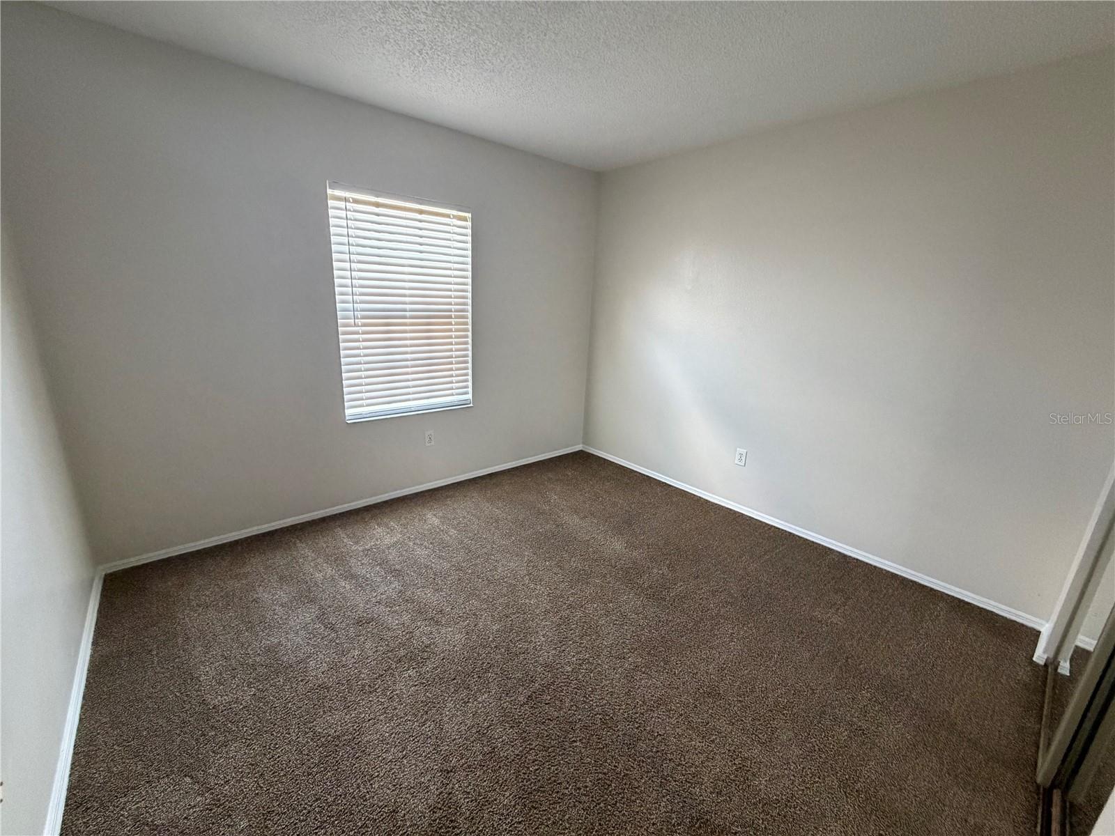 73 Olive Dr Property Photo 12