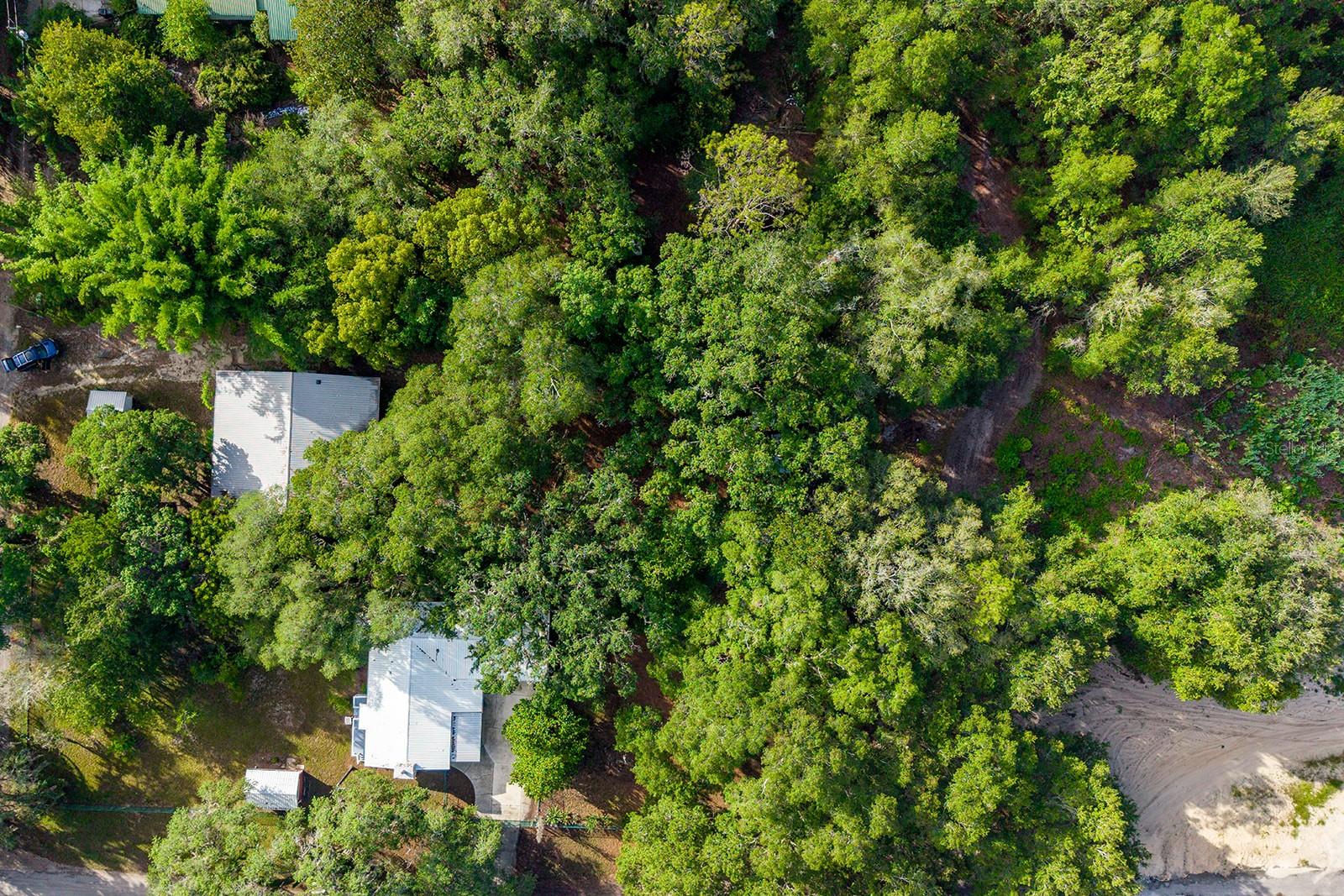 7908 Lake Geneva Ln Property Photo 45