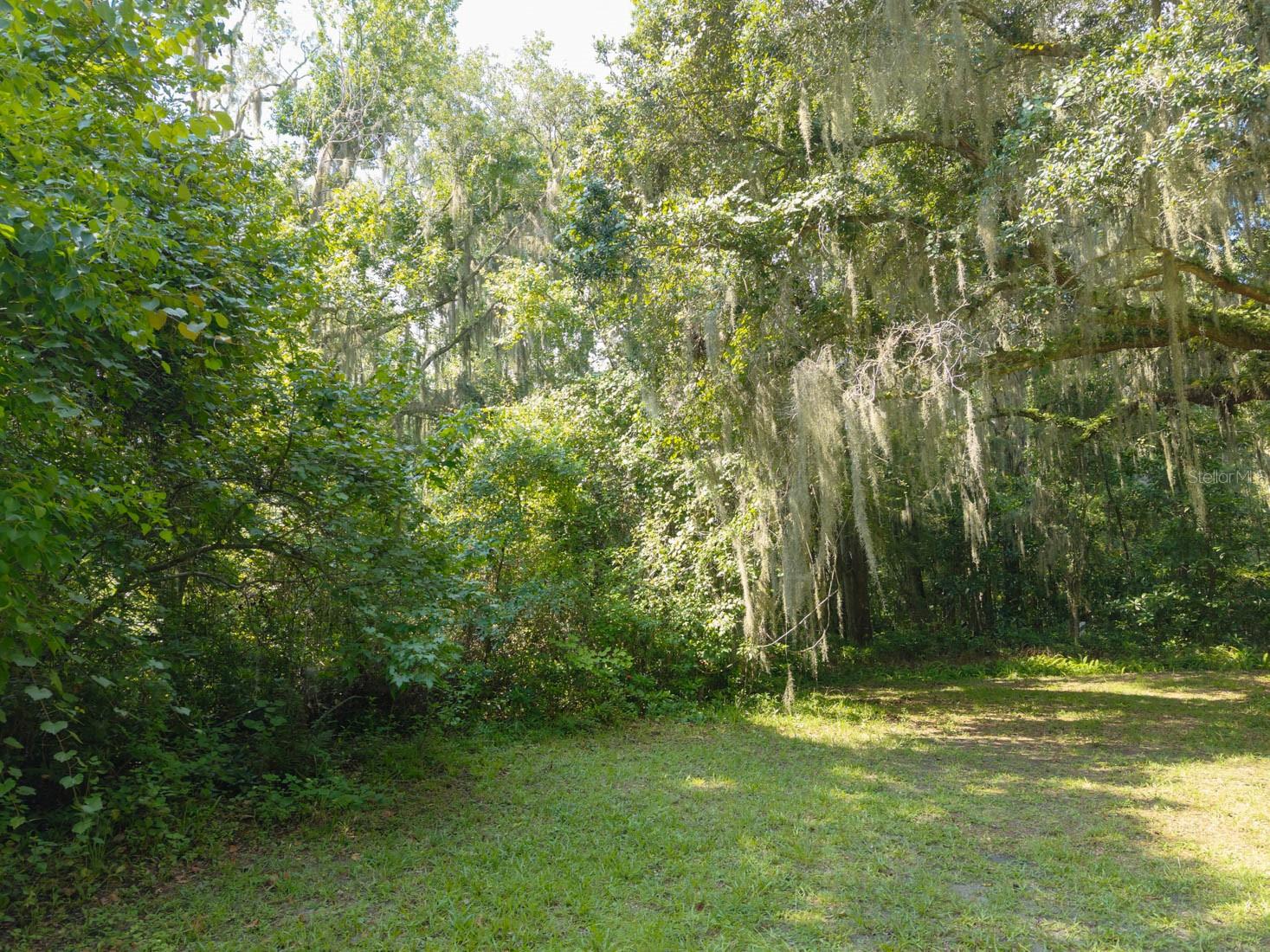 102 Cedar Creek Rd Property Photo 5