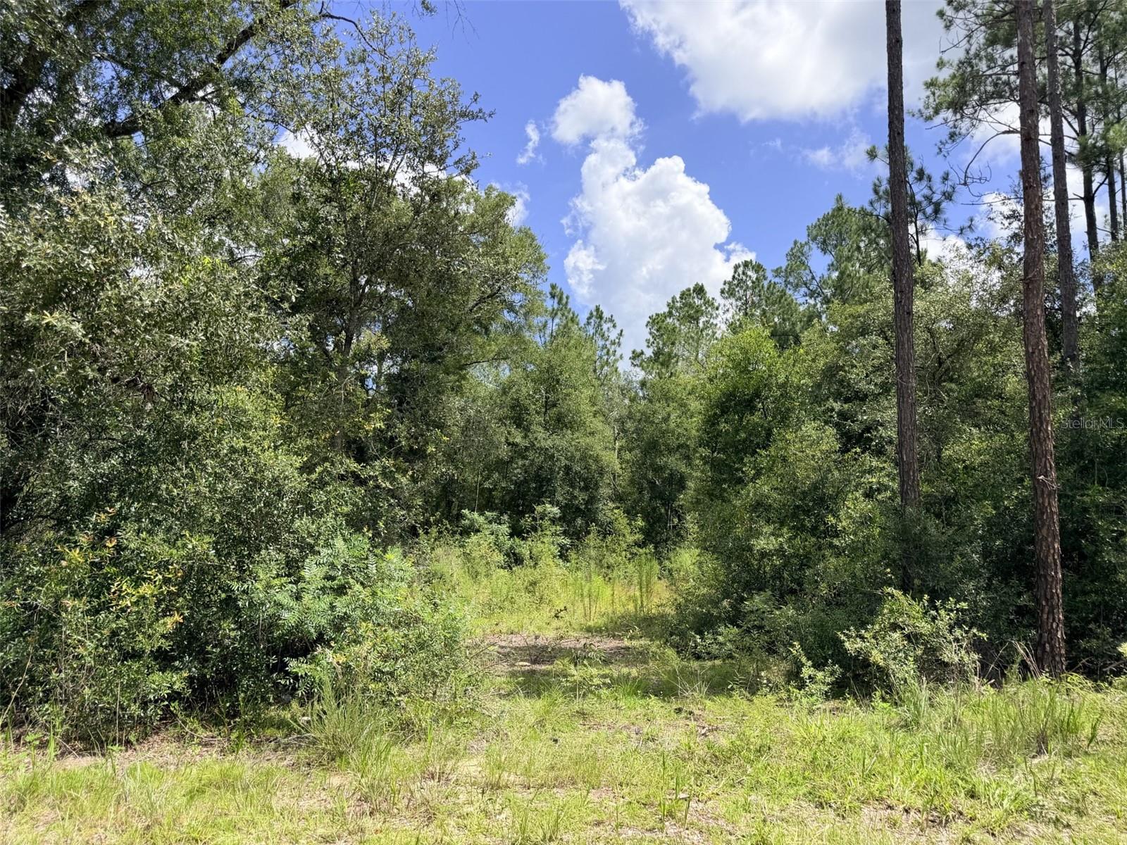 0 Ne 77 Pl Property Photo 1