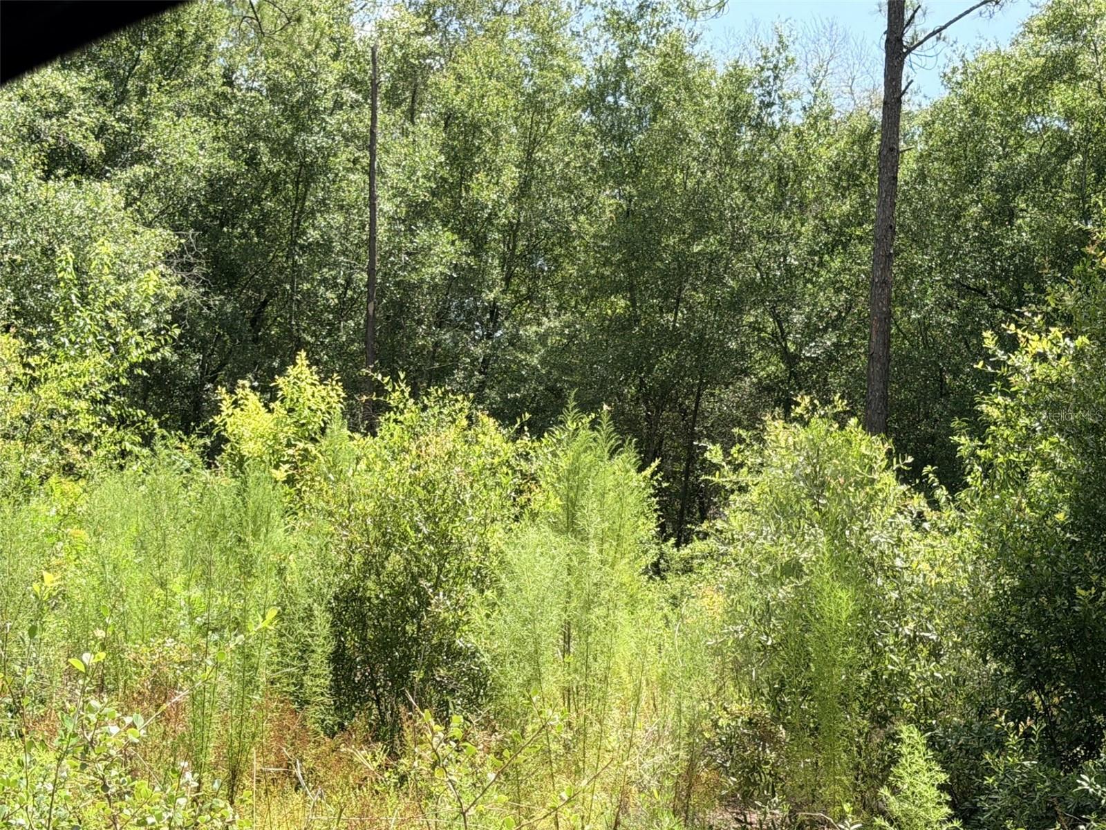0 Ne 77 Pl Property Photo 2