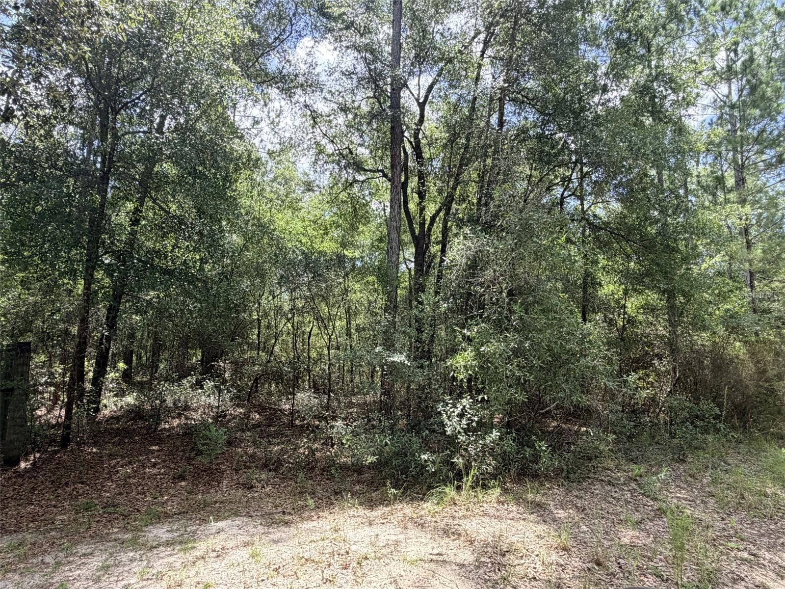 0 Ne 77 Pl Property Photo 6