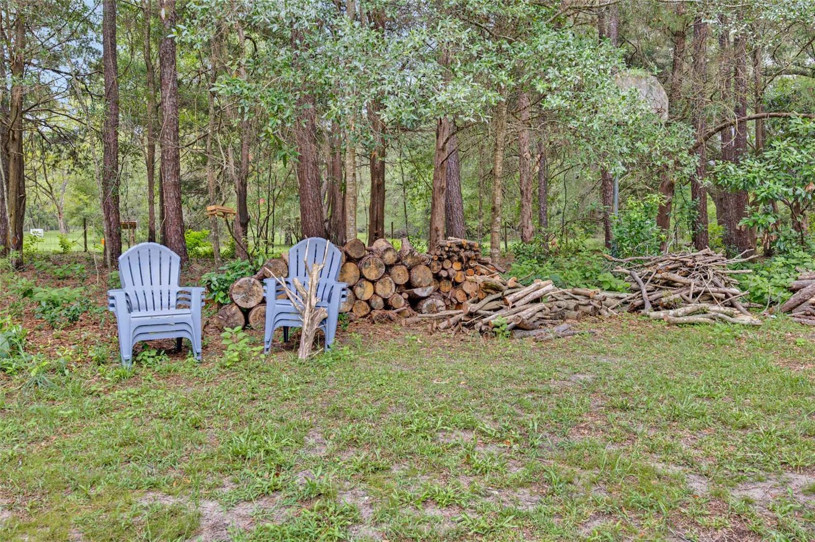 19922 Nw 131st Pl Property Photo 8
