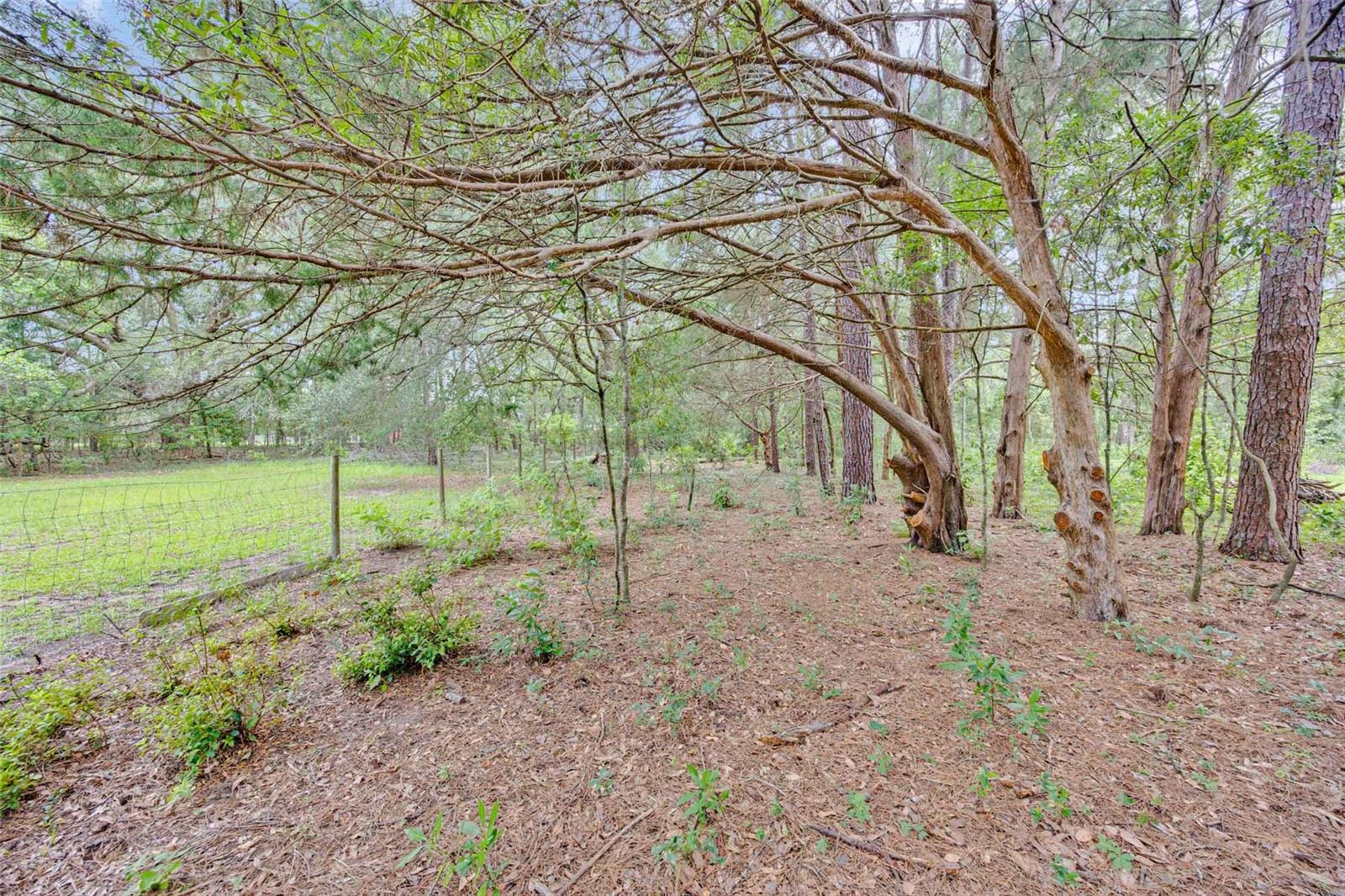 19922 Nw 131st Pl Property Photo 75