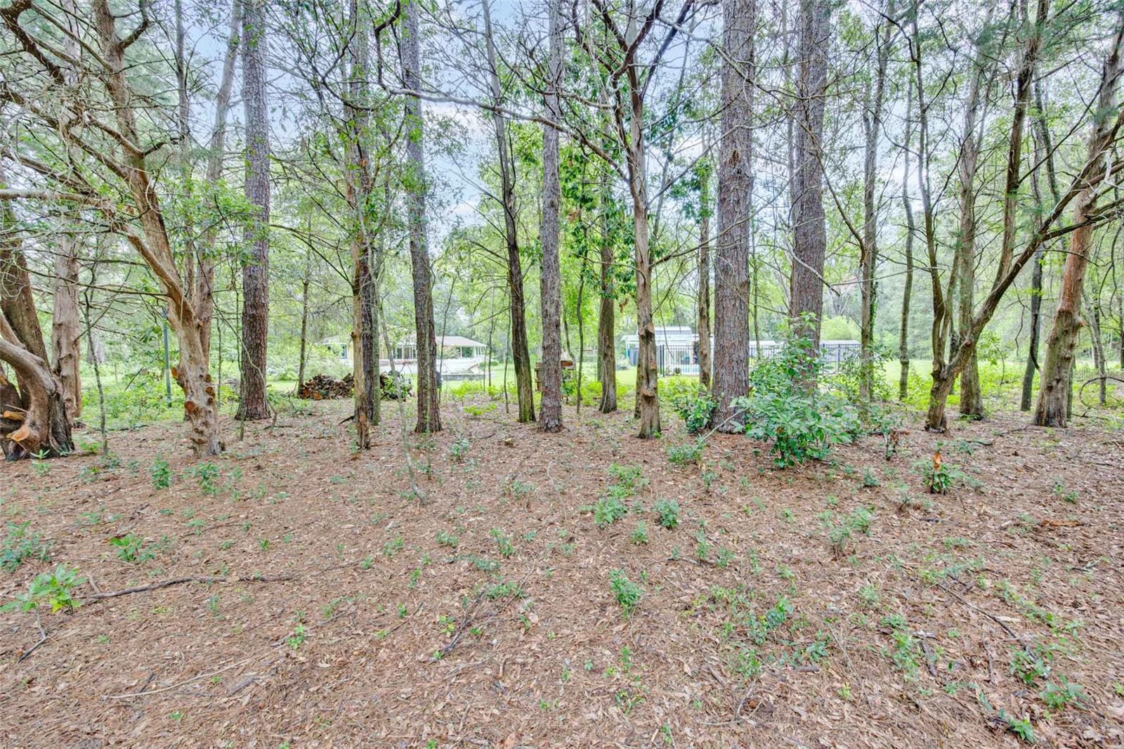 19922 Nw 131st Pl Property Photo 77