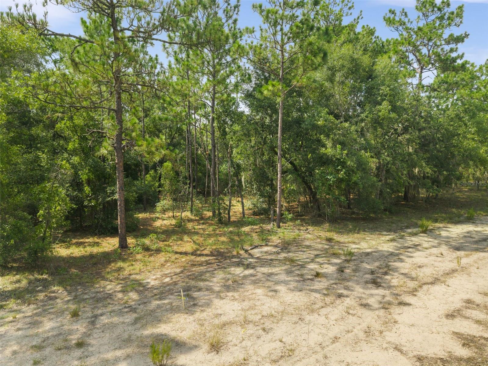 Ne 156th Ct Property Photo 7