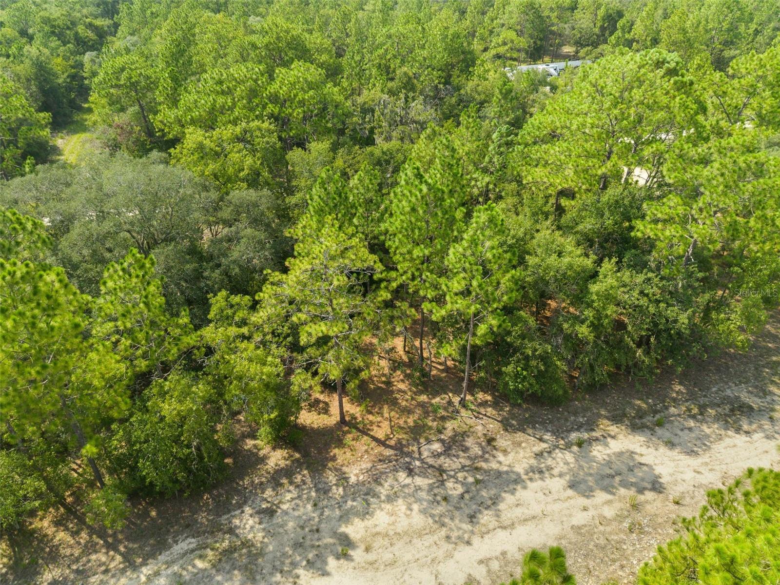 Ne 156th Ct Property Photo 9