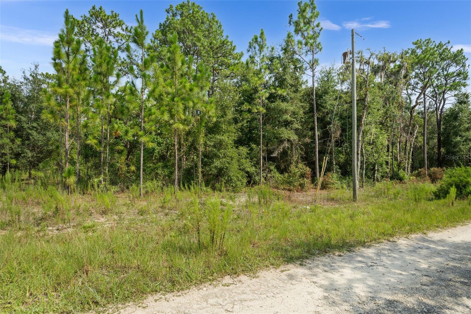 Ne 156th Ct Property Photo 11
