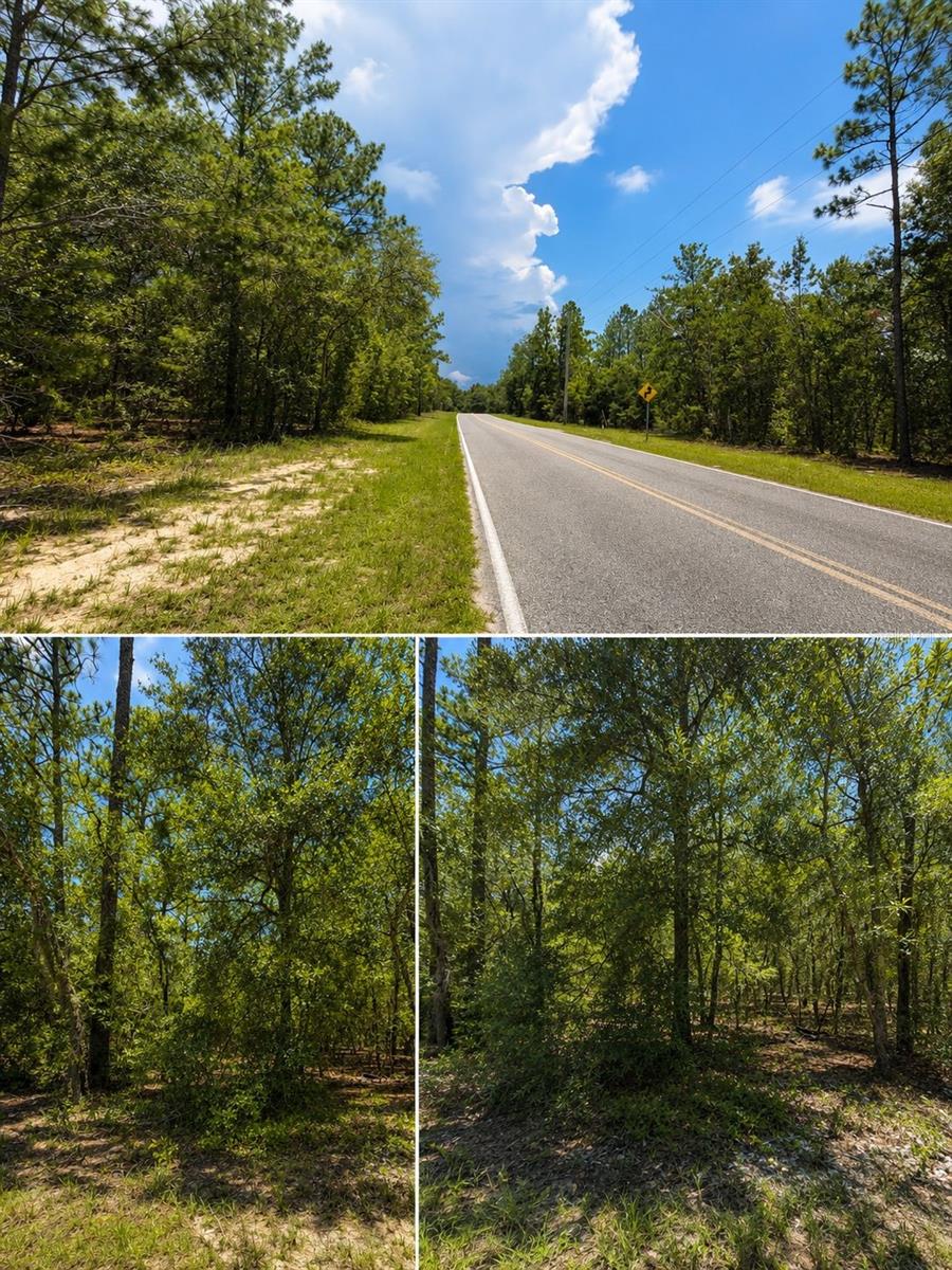 507 & 509 BADEN POWELL RD Property Photo 1