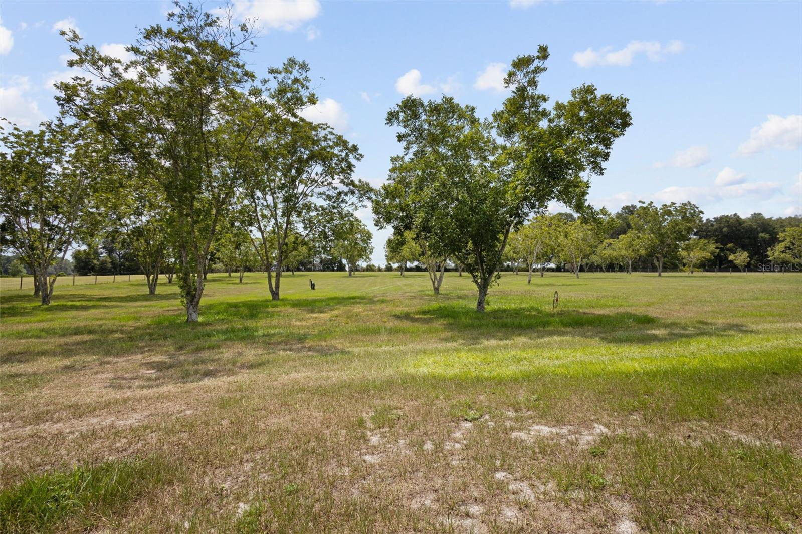 8140 Meadowlark Ct Property Photo 28