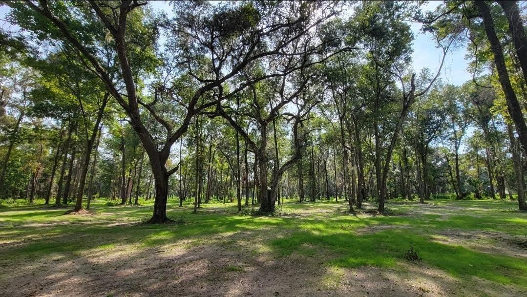 Nw 128th Ter #lot 37 Property Photo 2
