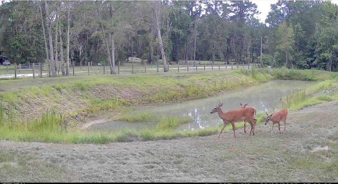 Nw 128th Ter #lot 37 Property Photo 42