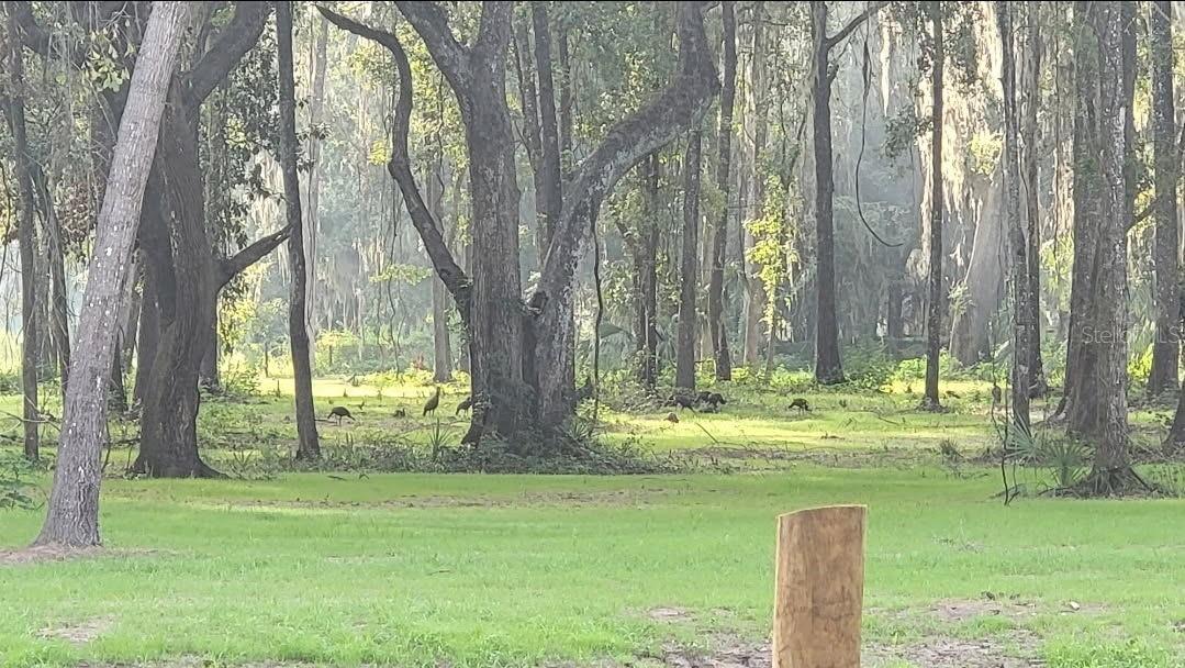 Nw 128th Ter #lot 36 Property Photo 41