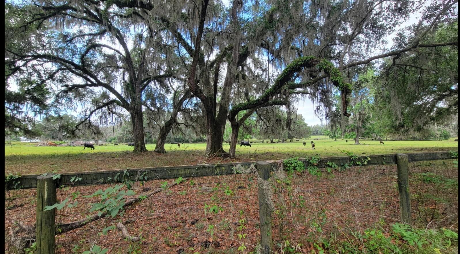 Nw 128th Ter #lot 36 Property Photo 42