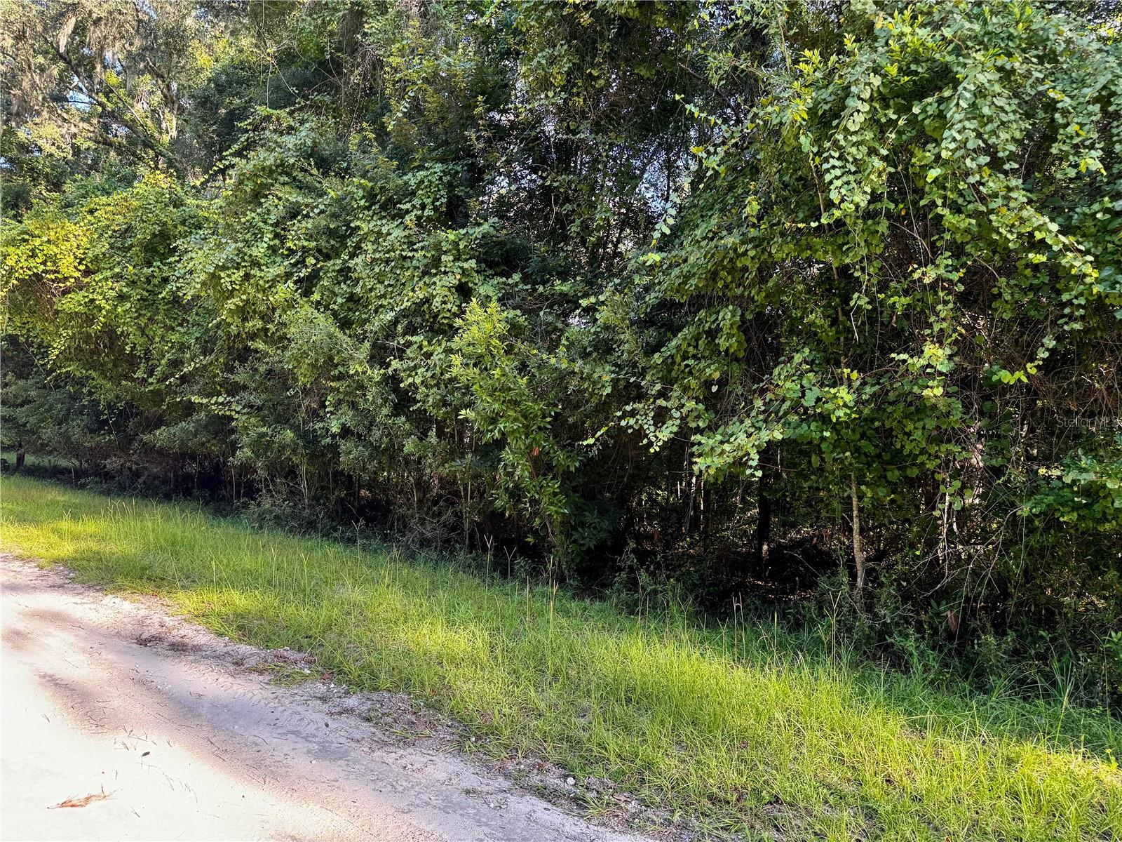 Sw Fox Pl #lots 38 & 39 Property Photo 2