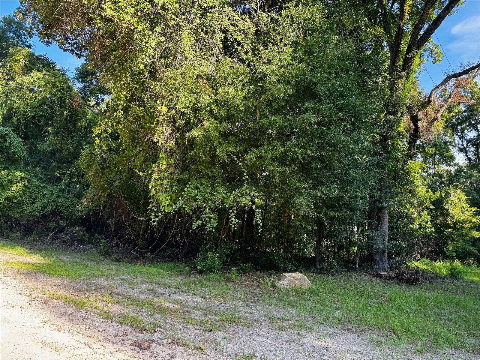 Sw Fox Pl #lots 38 & 39 Property Photo 5