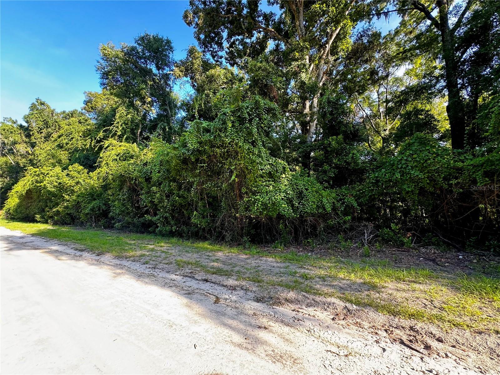 Sw Fox Pl #lots 38 & 39 Property Photo 11