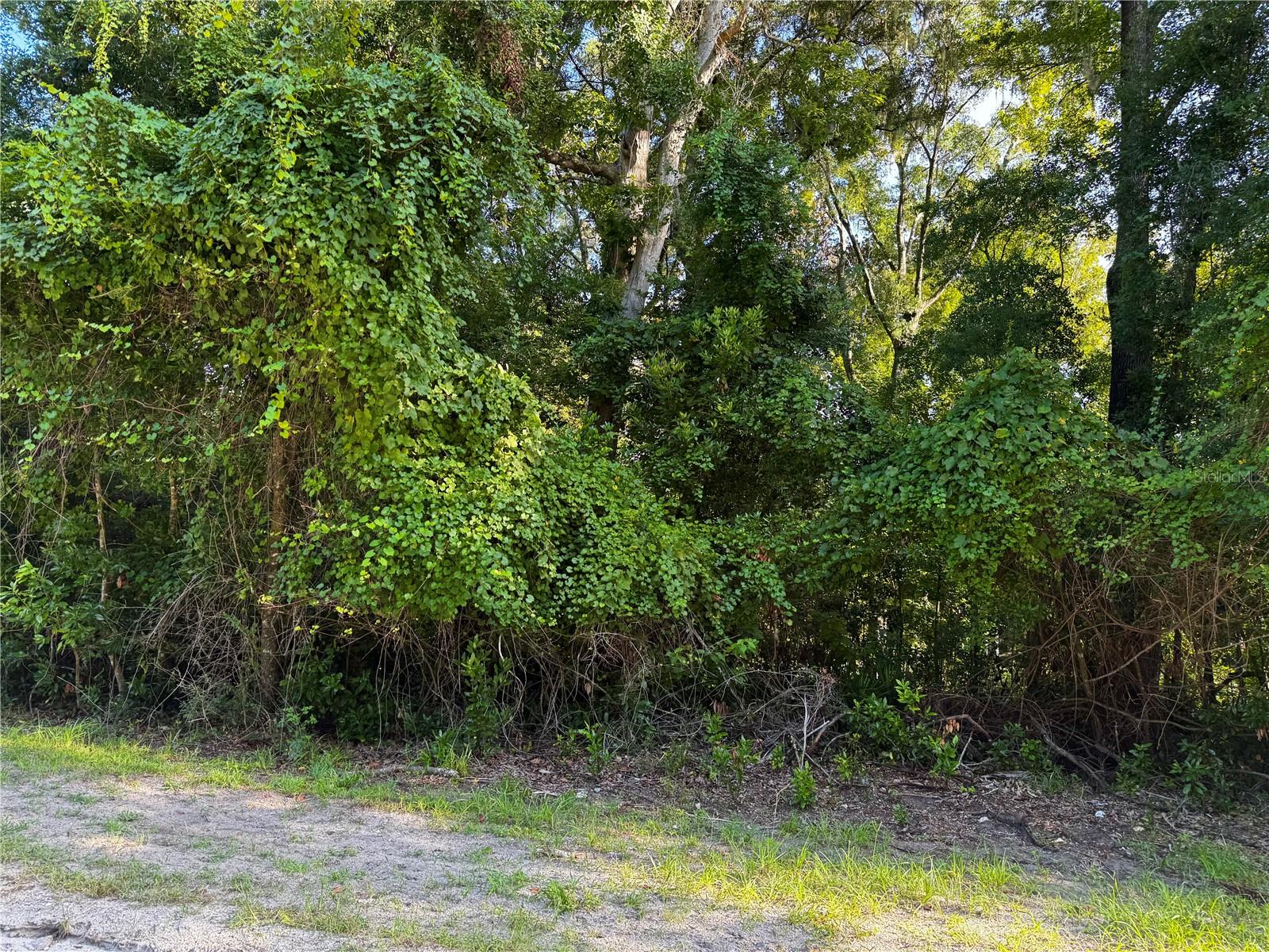 Sw Fox Pl #lots 38 & 39 Property Photo 12