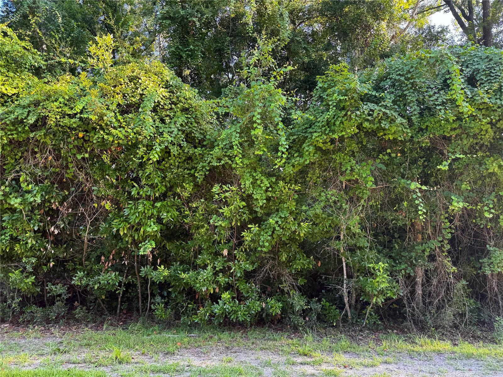 Sw Fox Pl #lots 38 & 39 Property Photo 14