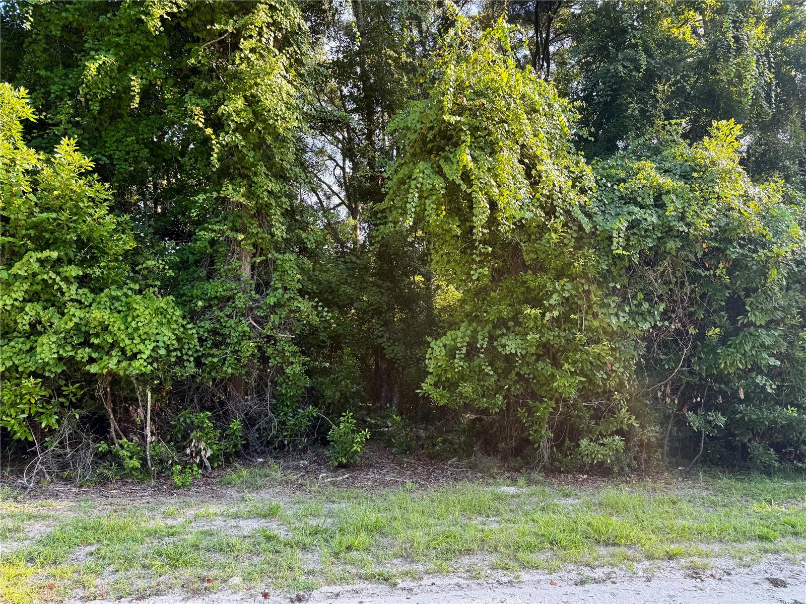 Sw Fox Pl #lots 38 & 39 Property Photo 15