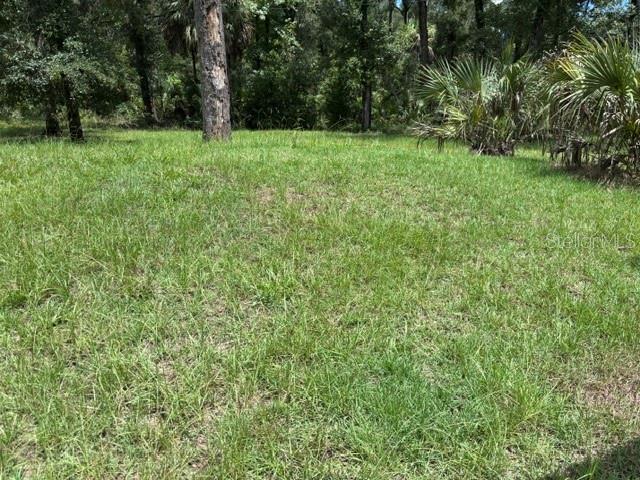 7455 Nw 95th St Property Photo 6