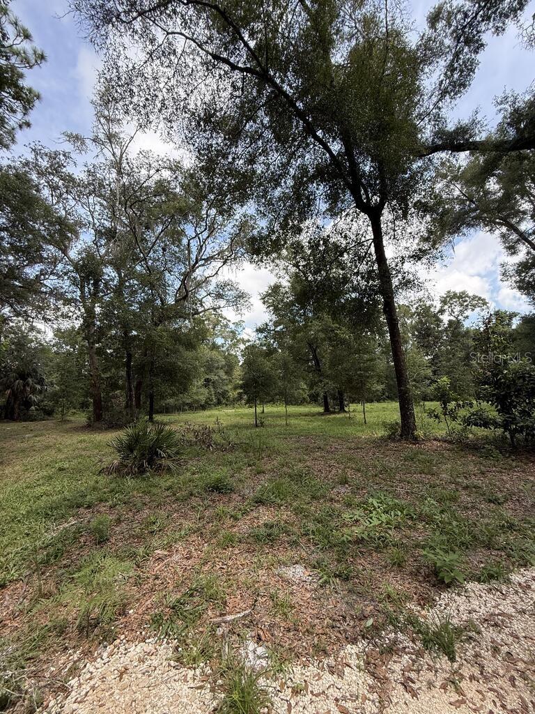 8431 Nw 60 Ave Property Photo 3