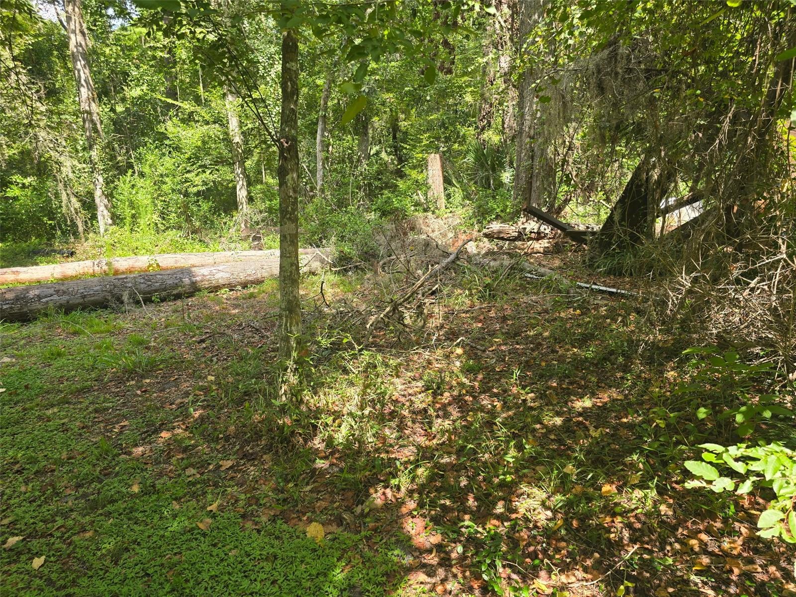 Tbd Nw Spring Hollow Blvd Property Photo 3