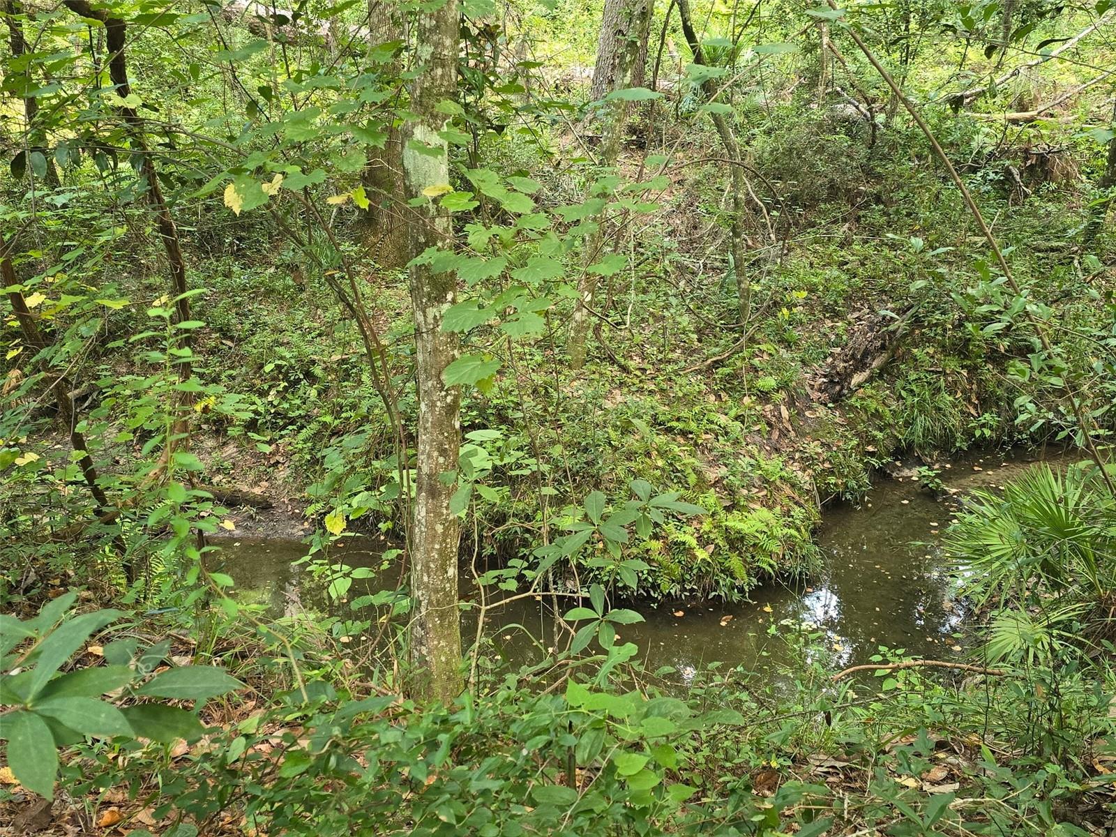 Tbd Nw Spring Hollow Blvd Property Photo 4