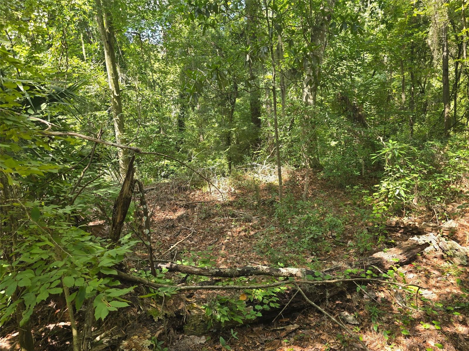 Tbd Nw Spring Hollow Blvd Property Photo 5