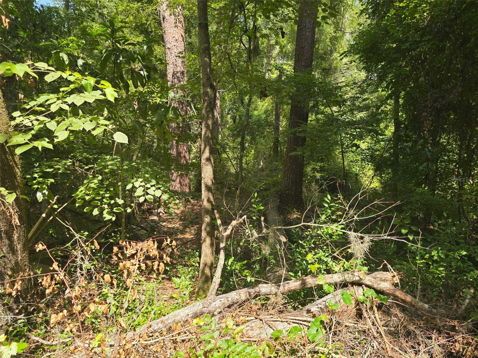 Tbd Nw Spring Hollow Blvd Property Photo 8