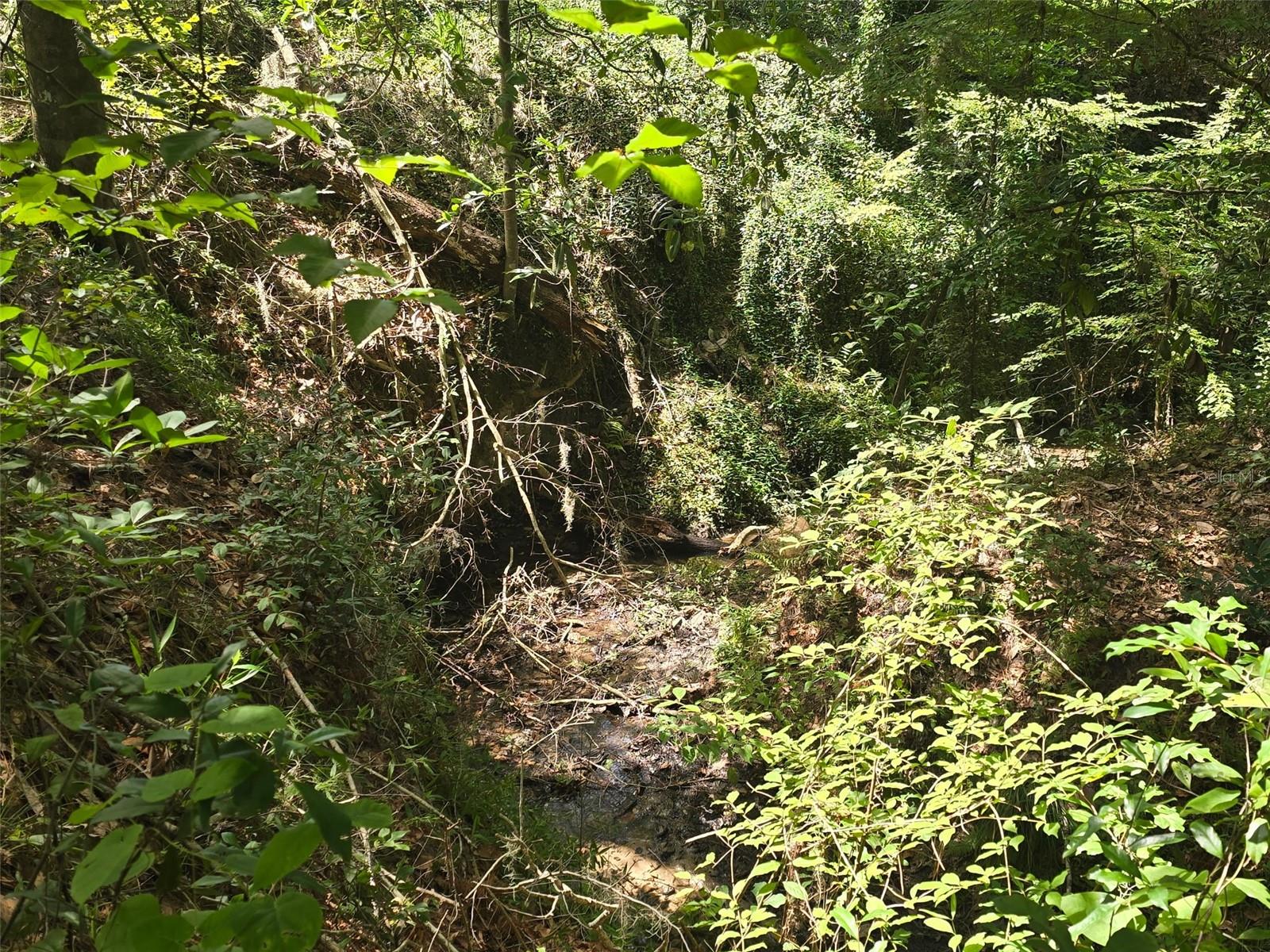 Tbd Nw Spring Hollow Blvd Property Photo 9