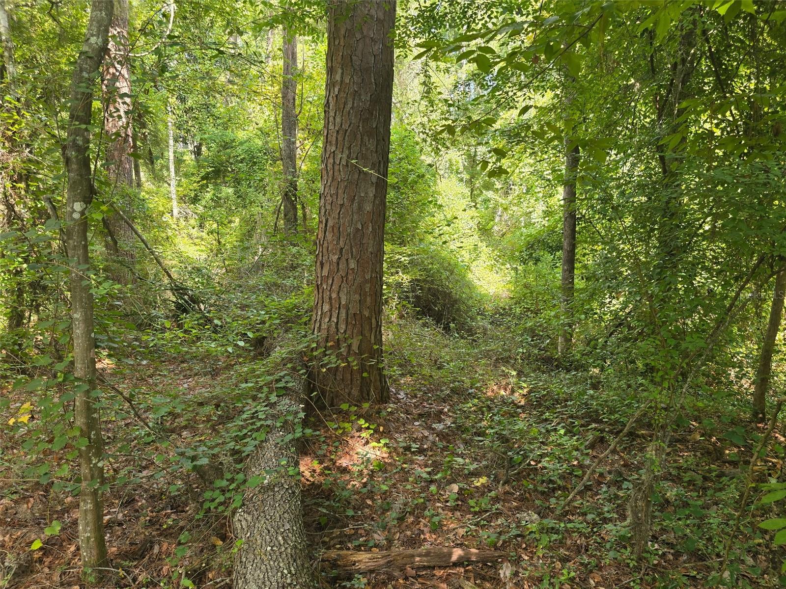 Tbd Nw Spring Hollow Blvd Property Photo 10