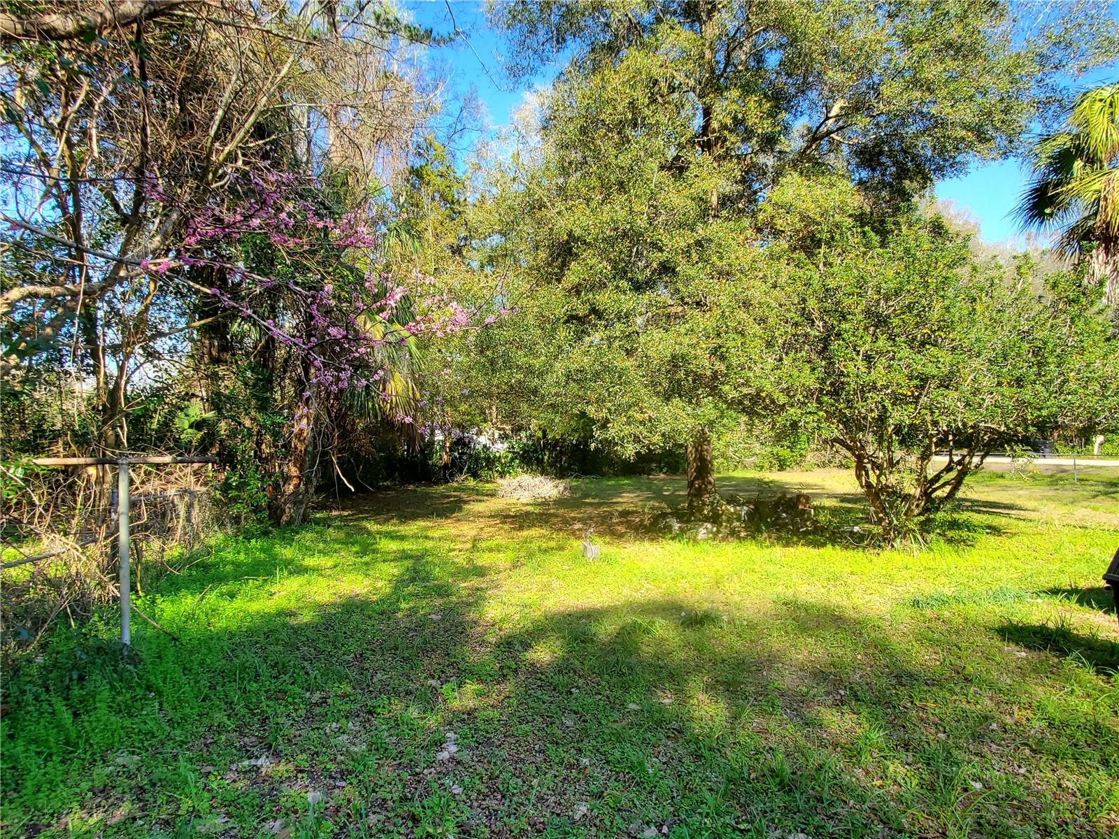 18670 Nw 246th St Property Photo 14