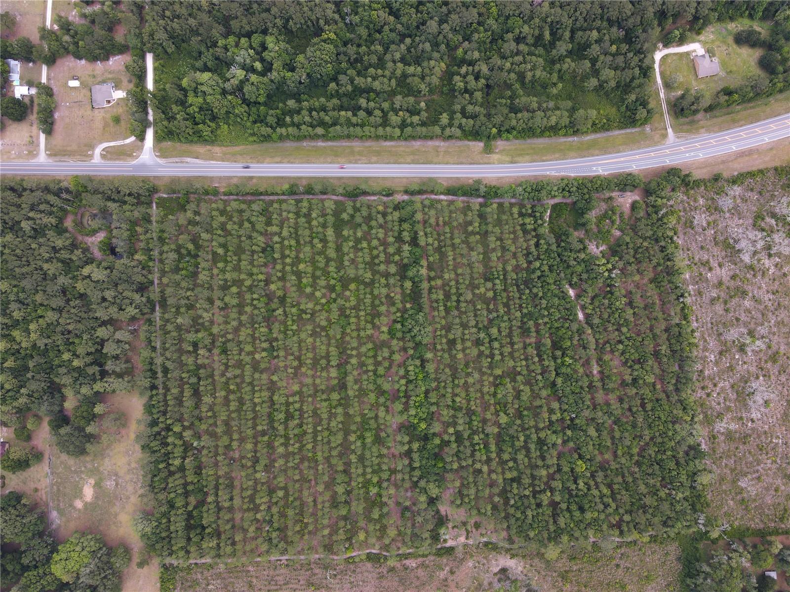 Tbd N State Road 121 #3 Property Photo 10