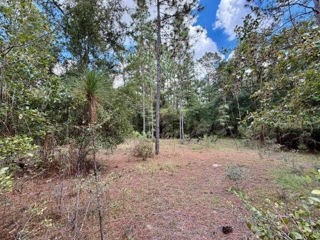 4850 Nw 55th Ave Property Photo 27