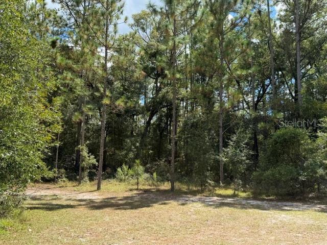 4850 Nw 55th Ave Property Photo 35