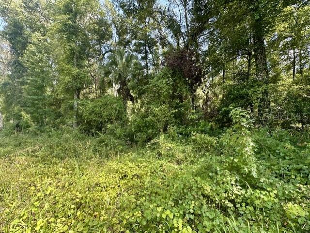 Ne 597th St Property Photo 4