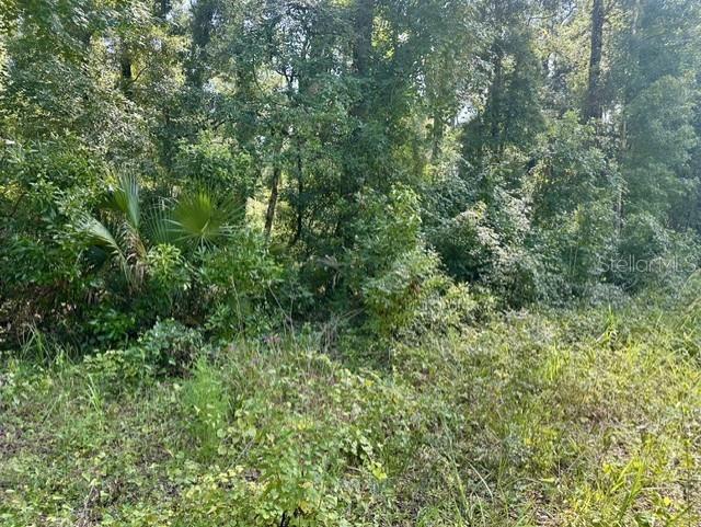 Ne 597th St Property Photo 5