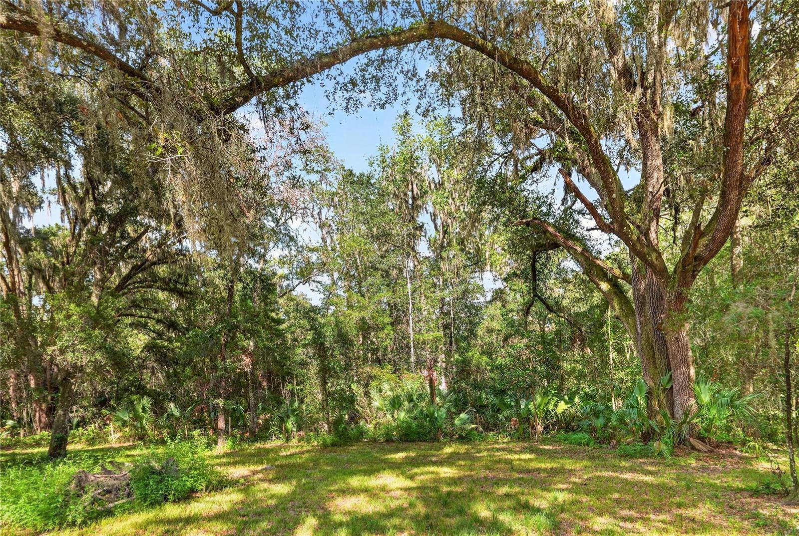 9350 Nw 230 St Property Photo 77
