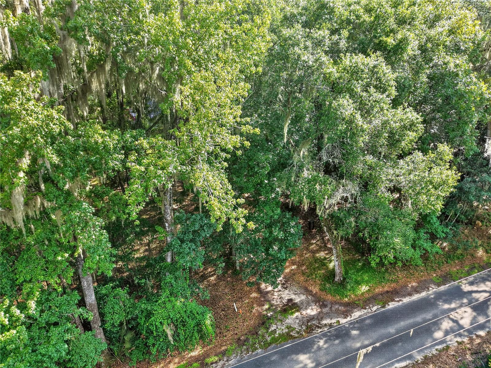9350 Nw 230 St Property Photo 85