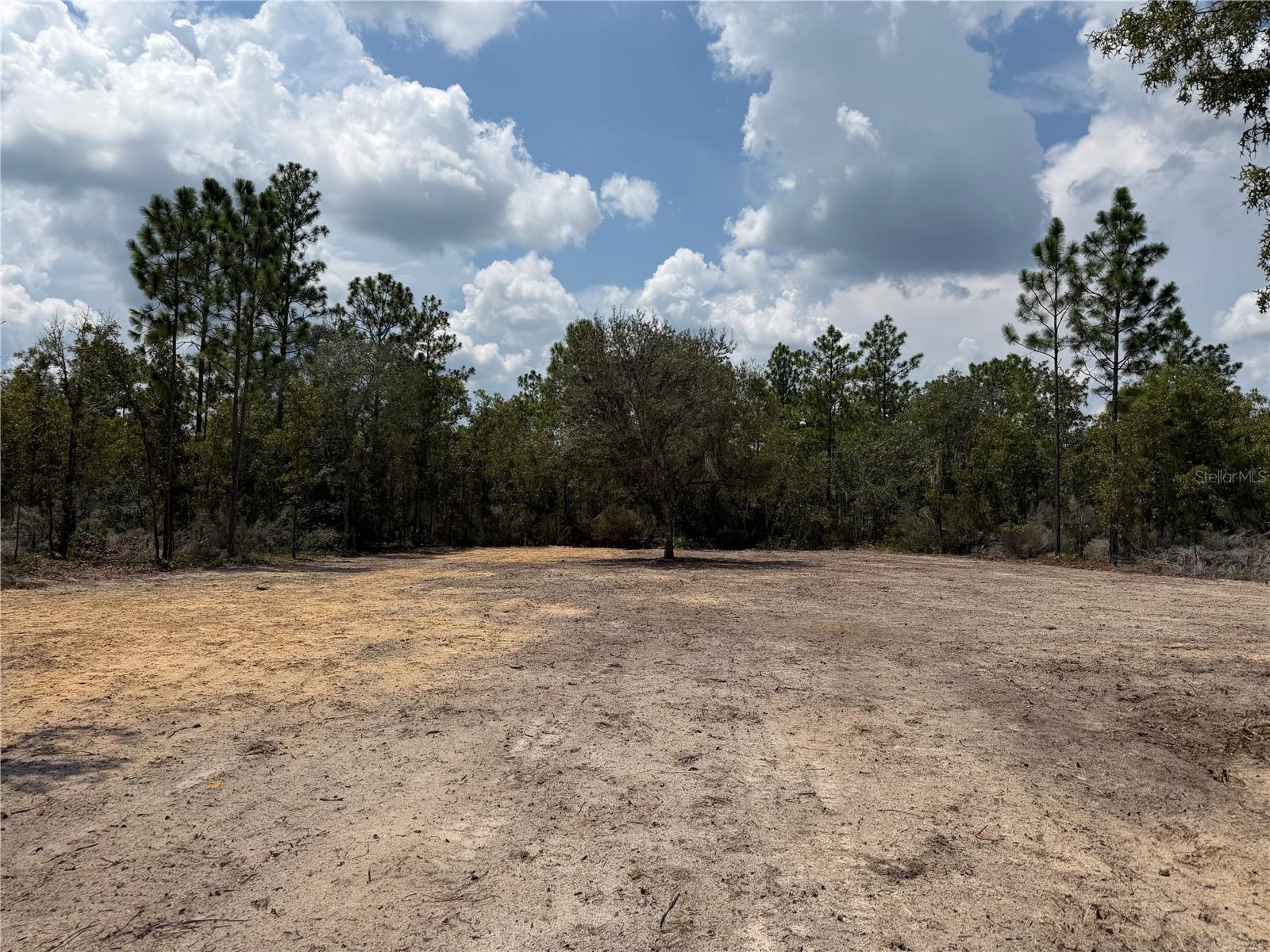 Tbd Ne 101st Ter Property Photo 2